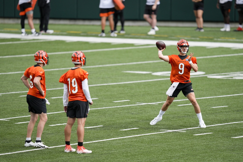 How To Watch The Bengals This Week: Live Streaming & TV Channel - Fubo News